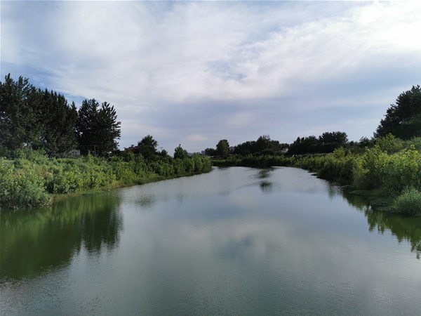 關于印發江蘇省固定資產投資項目節能審查實施辦法的通知