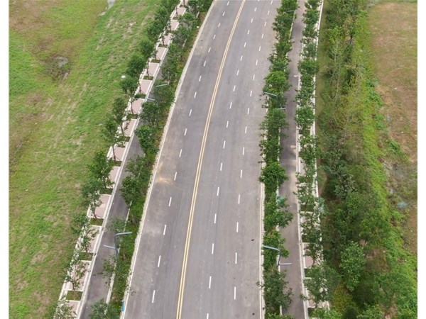 江心洲南環路（31號路南延）工程